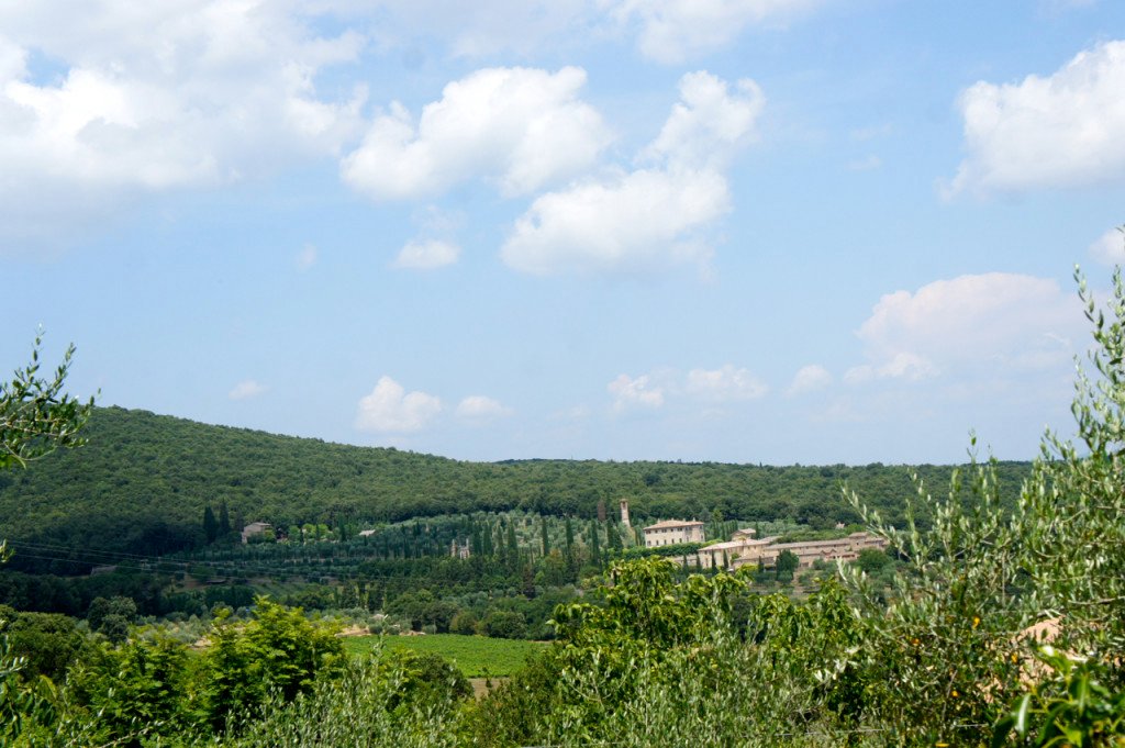 SONY DSC