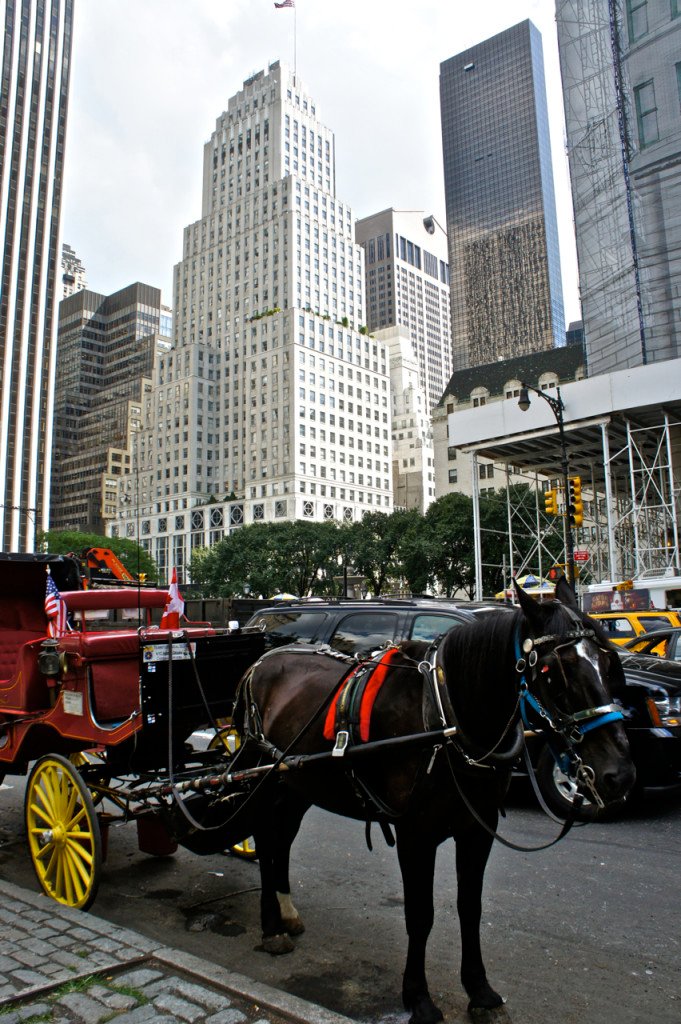 Contrastes são a epítome do que é a Big Apple!