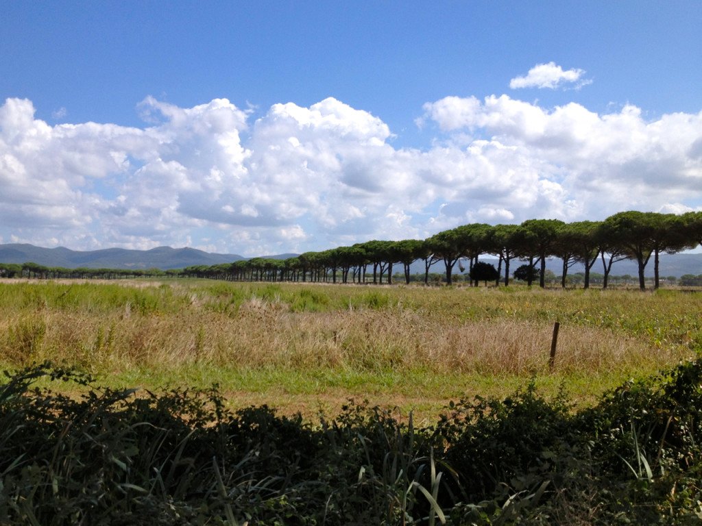 A região de Bolgheri na Toscana