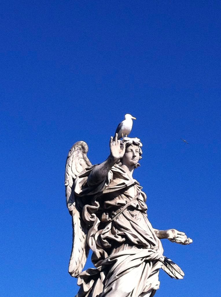 Minha foto  preferida dessa sequencia
