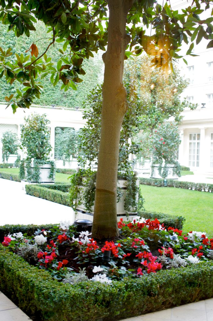 A apresentação de Pedro Lourenço dá neste jardim interno lindo do Bristol