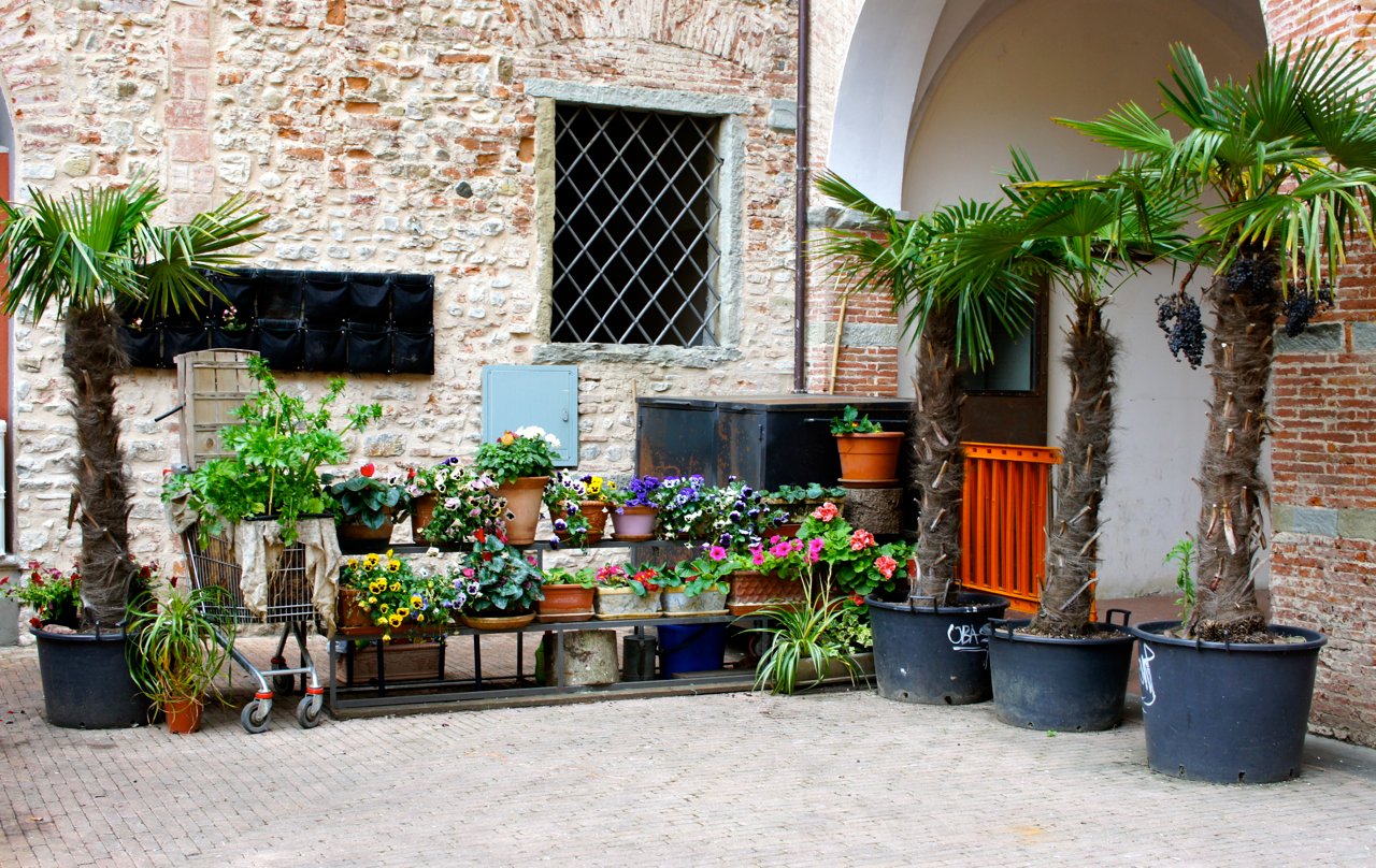 Um weekend cultural em Florença na companhia da Corello!