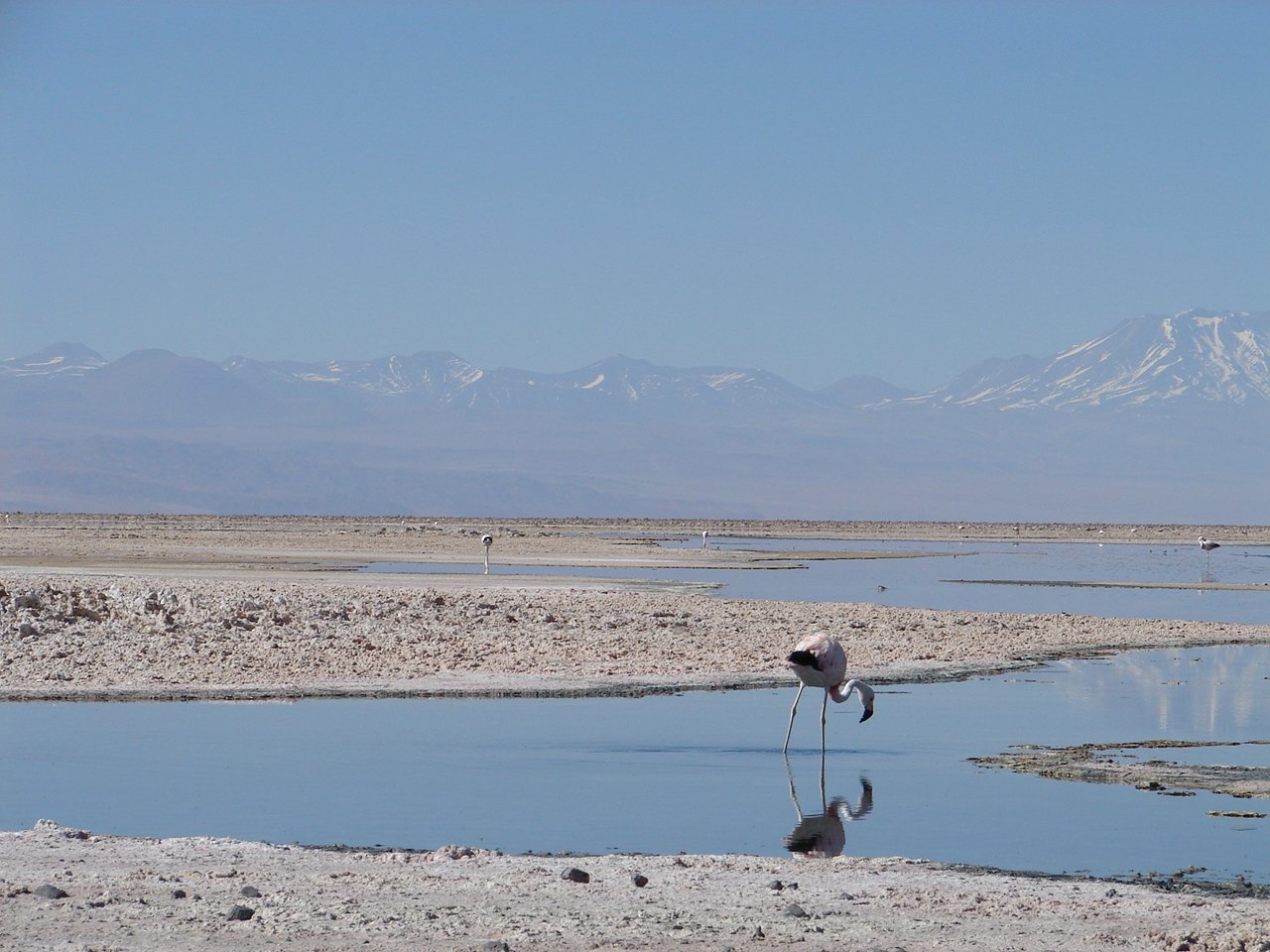Atacama por Kareen Terenzzo – 1ª parte