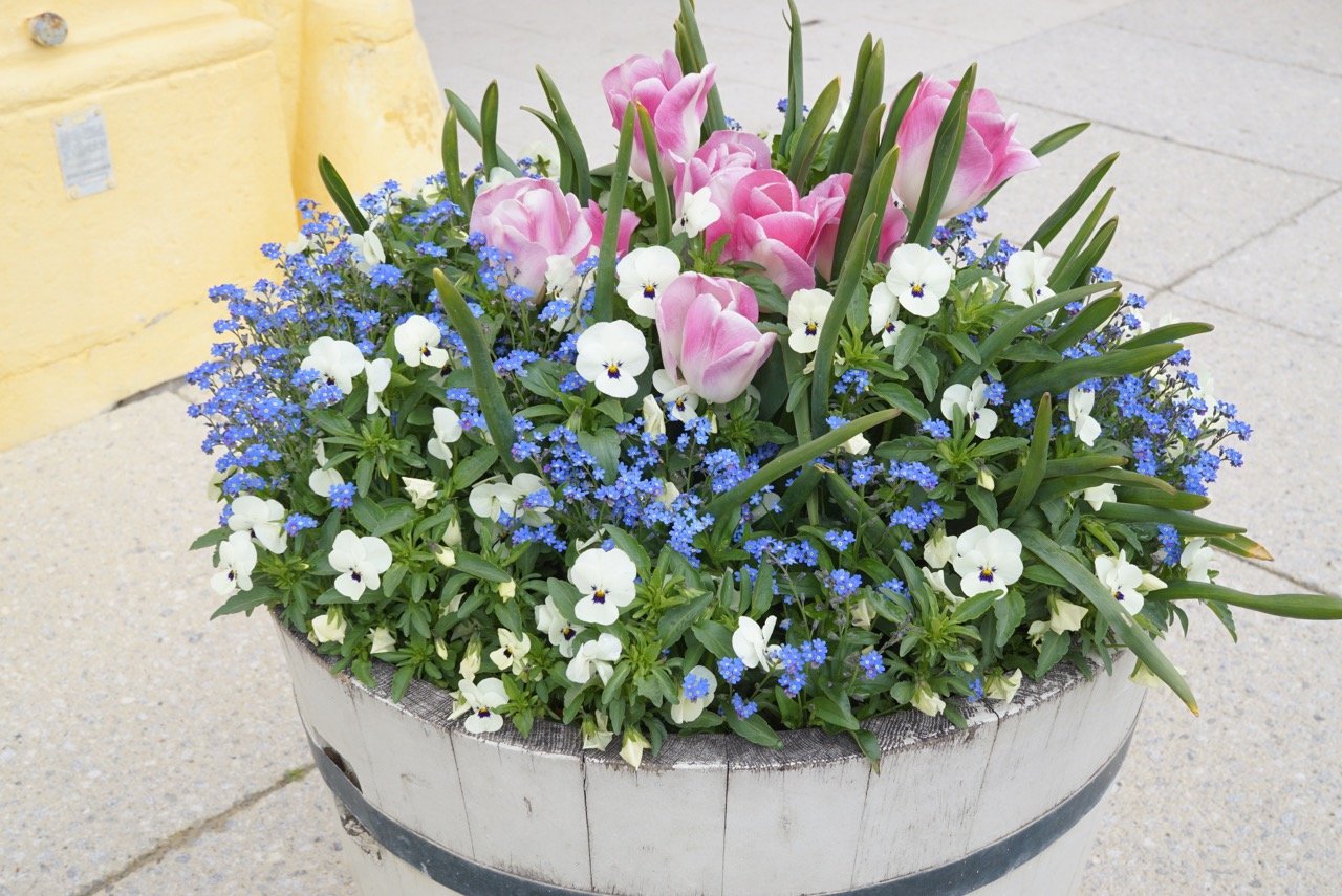 As flores em toda a propriedade são maravilhosas!!