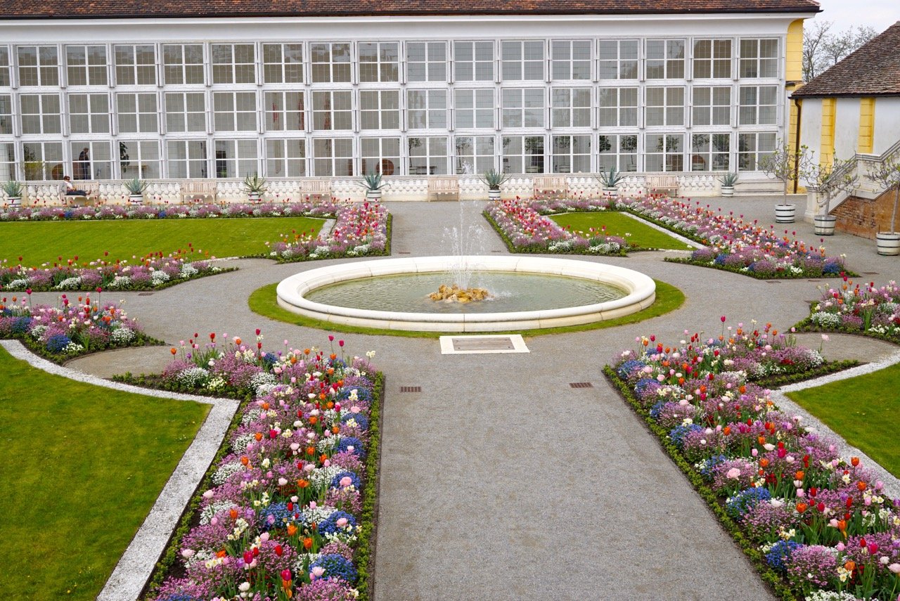 A estufa invernal das plantas