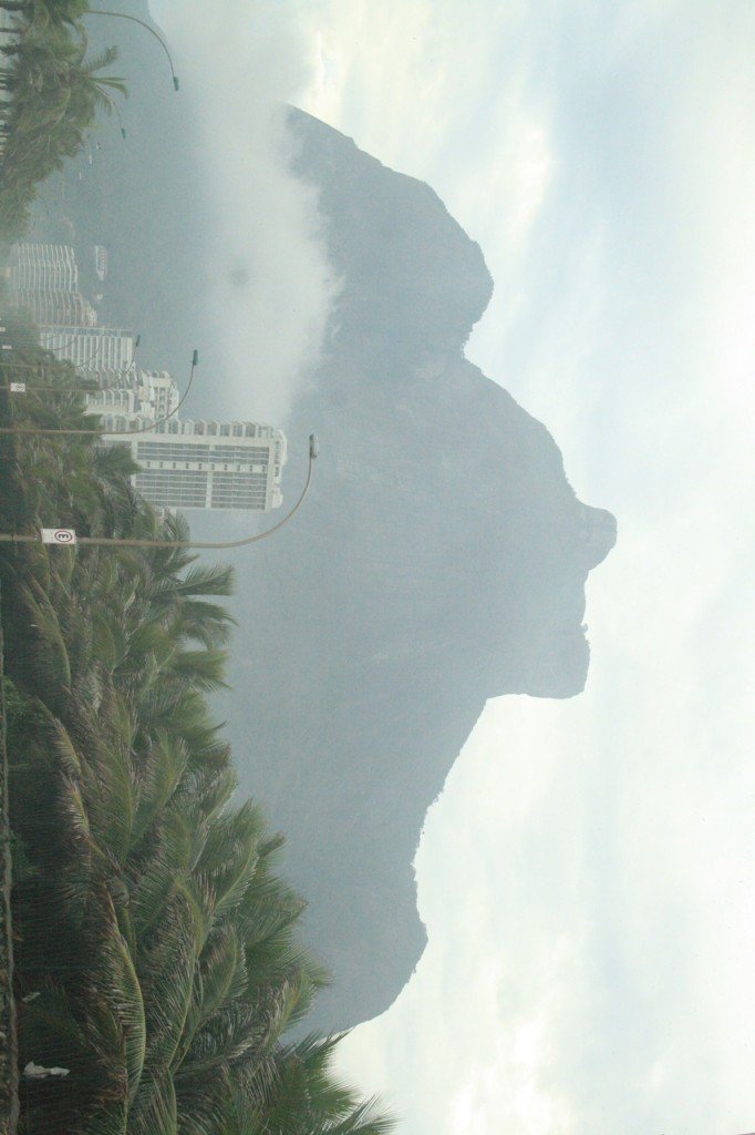 A inspiração da capa!