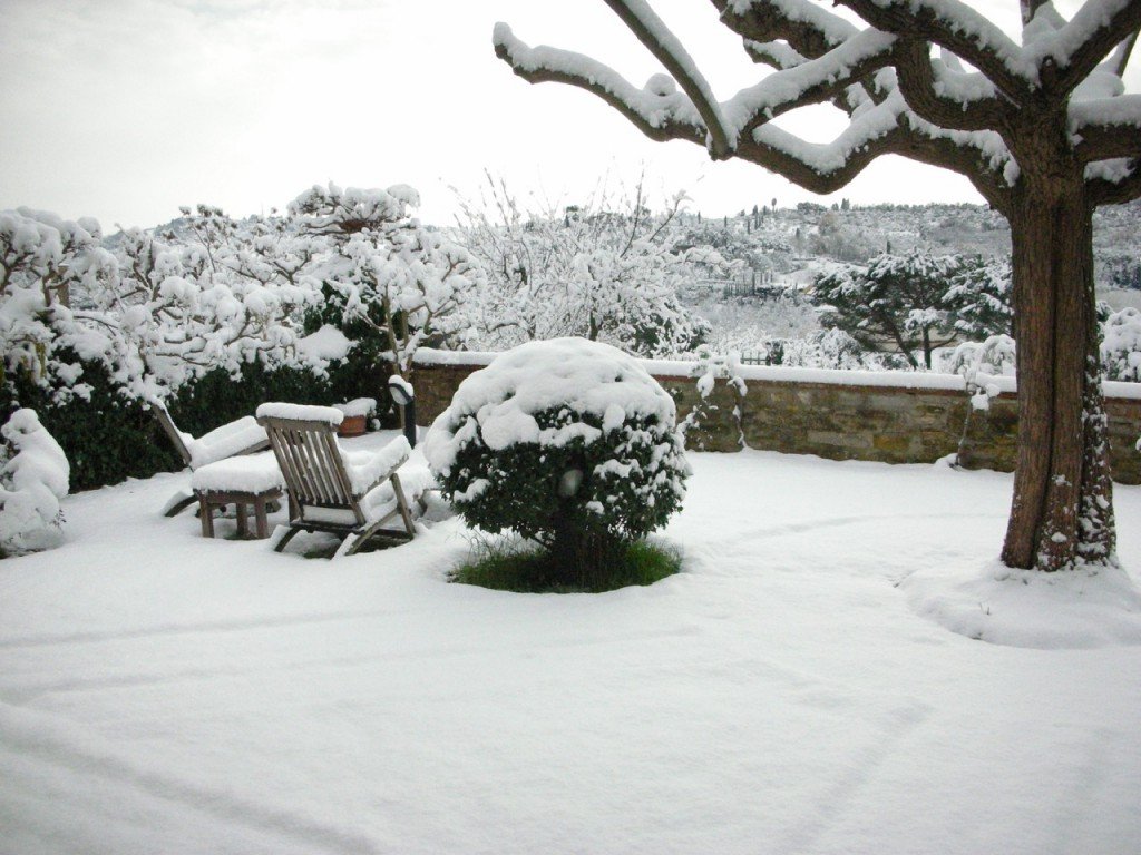 E em um inverno anómalo com neve... acontece pouco, e desta maneira, tão forte, quase nunca!